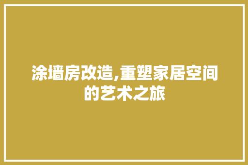 涂墙房改造,重塑家居空间的艺术之旅