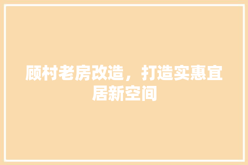顾村老房改造，打造实惠宜居新空间