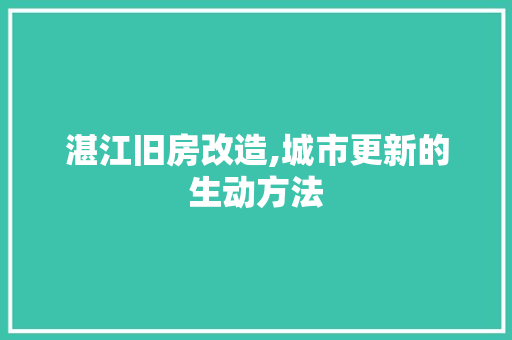 湛江旧房改造,城市更新的生动方法