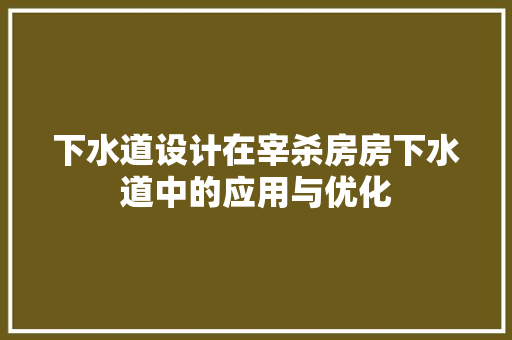 下水道设计在宰杀房房下水道中的应用与优化