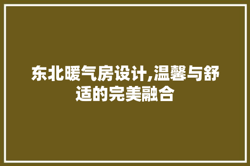 东北暖气房设计,温馨与舒适的完美融合