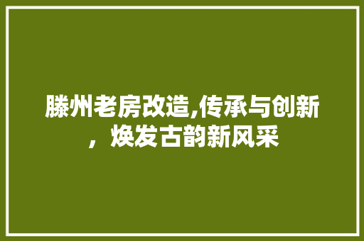滕州老房改造,传承与创新，焕发古韵新风采