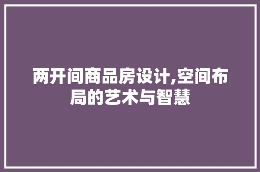 两开间商品房设计,空间布局的艺术与智慧
