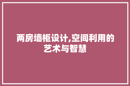 两房墙柜设计,空间利用的艺术与智慧