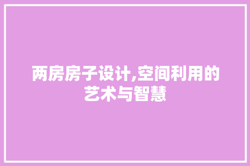 两房房子设计,空间利用的艺术与智慧