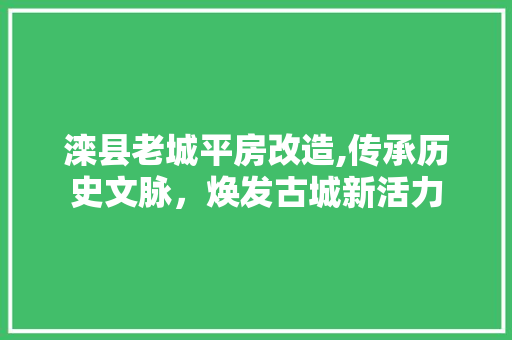 滦县老城平房改造,传承历史文脉，焕发古城新活力