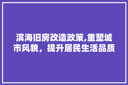 滨海旧房改造政策,重塑城市风貌，提升居民生活品质