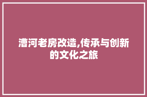 漕河老房改造,传承与创新的文化之旅