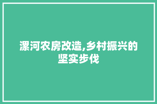 漯河农房改造,乡村振兴的坚实步伐