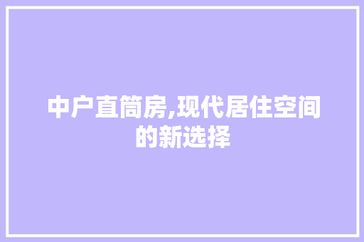 中户直筒房,现代居住空间的新选择