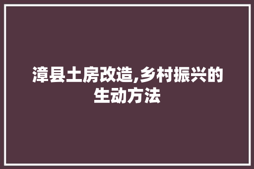 漳县土房改造,乡村振兴的生动方法