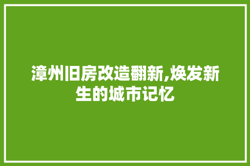 漳州旧房改造翻新,焕发新生的城市记忆