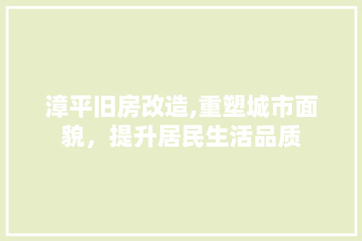 漳平旧房改造,重塑城市面貌，提升居民生活品质