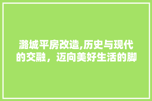 潞城平房改造,历史与现代的交融，迈向美好生活的脚步