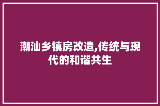 潮汕乡镇房改造,传统与现代的和谐共生