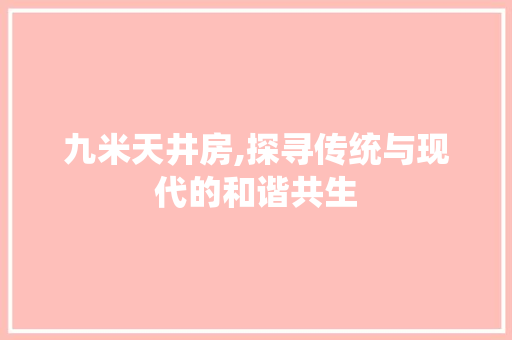 九米天井房,探寻传统与现代的和谐共生