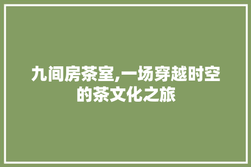 九间房茶室,一场穿越时空的茶文化之旅