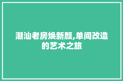 潮汕老房焕新颜,单间改造的艺术之旅