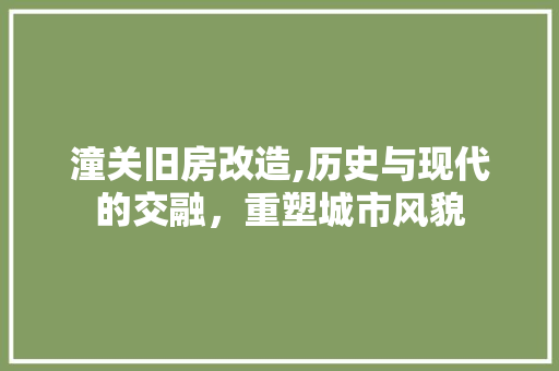 潼关旧房改造,历史与现代的交融，重塑城市风貌
