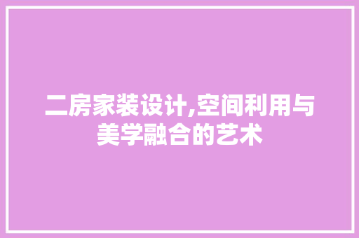二房家装设计,空间利用与美学融合的艺术