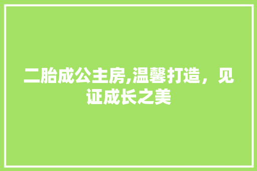 二胎成公主房,温馨打造，见证成长之美
