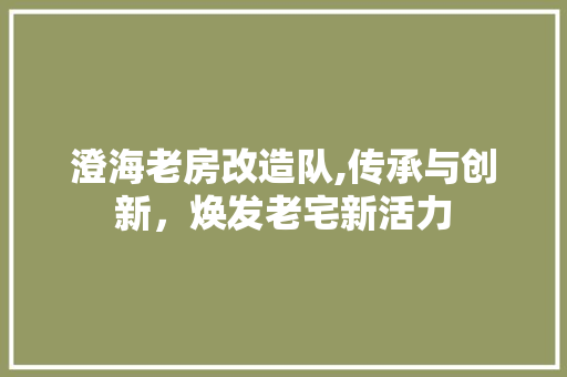 澄海老房改造队,传承与创新，焕发老宅新活力