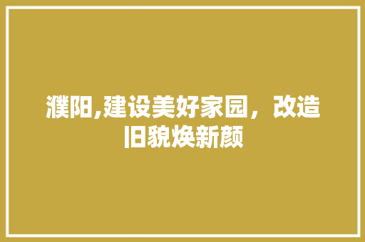 濮阳,建设美好家园，改造旧貌焕新颜