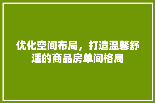 优化空间布局，打造温馨舒适的商品房单间格局
