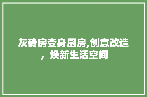 灰砖房变身厨房,创意改造，焕新生活空间