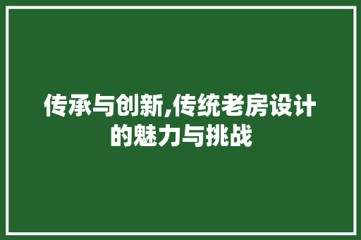 传承与创新,传统老房设计的魅力与挑战