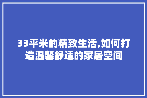 33平米的精致生活,如何打造温馨舒适的家居空间