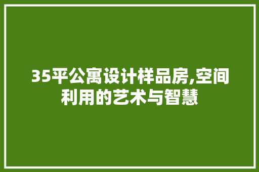 35平公寓设计样品房,空间利用的艺术与智慧