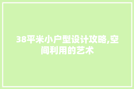 38平米小户型设计攻略,空间利用的艺术