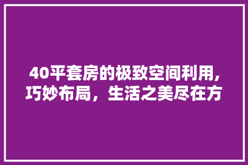 40平套房的极致空间利用,巧妙布局，生活之美尽在方寸之间