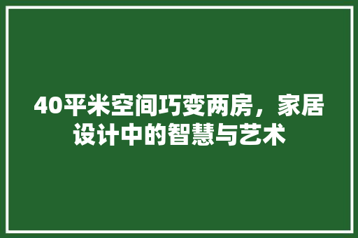 40平米空间巧变两房，家居设计中的智慧与艺术