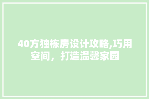 40方独栋房设计攻略,巧用空间，打造温馨家园