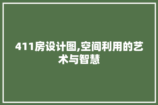 411房设计图,空间利用的艺术与智慧