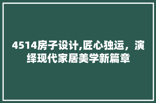 4514房子设计,匠心独运，演绎现代家居美学新篇章