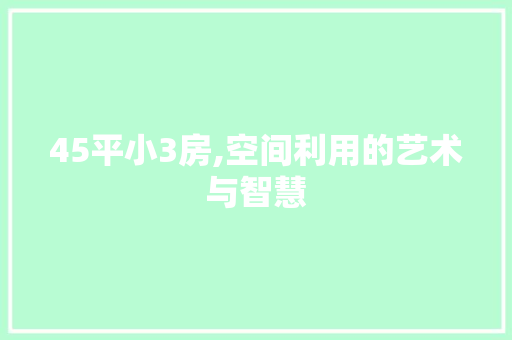 45平小3房,空间利用的艺术与智慧