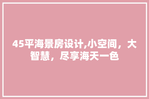 45平海景房设计,小空间，大智慧，尽享海天一色