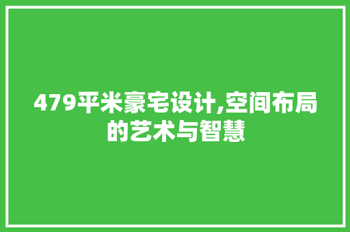 479平米豪宅设计,空间布局的艺术与智慧