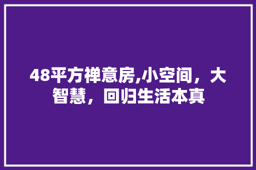48平方禅意房,小空间，大智慧，回归生活本真
