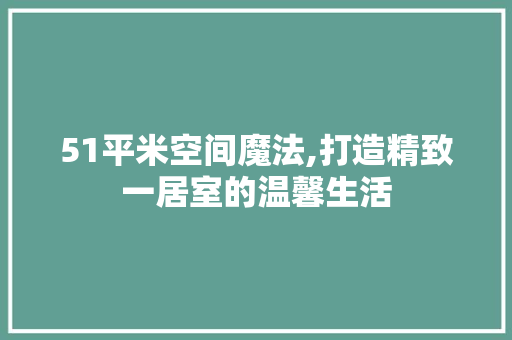 51平米空间魔法,打造精致一居室的温馨生活