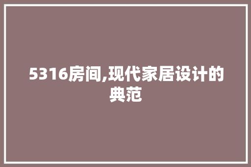 5316房间,现代家居设计的典范