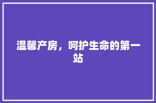 温馨产房，呵护生命的第一站