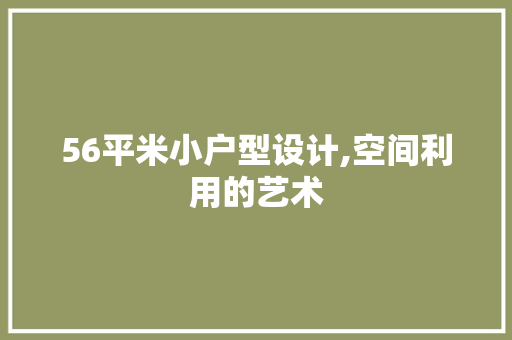 56平米小户型设计,空间利用的艺术