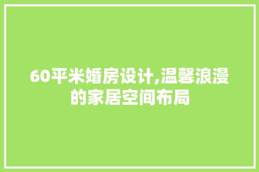 60平米婚房设计,温馨浪漫的家居空间布局