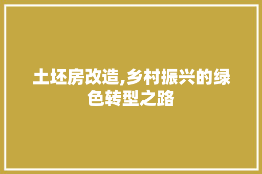 土坯房改造,乡村振兴的绿色转型之路