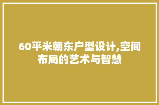 60平米朝东户型设计,空间布局的艺术与智慧