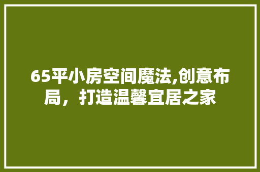 65平小房空间魔法,创意布局，打造温馨宜居之家